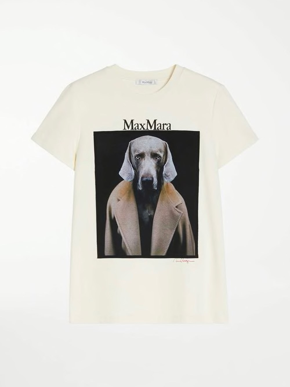 max mara DOGSTAR T-SHIRT available on montiboutique.com - 41947