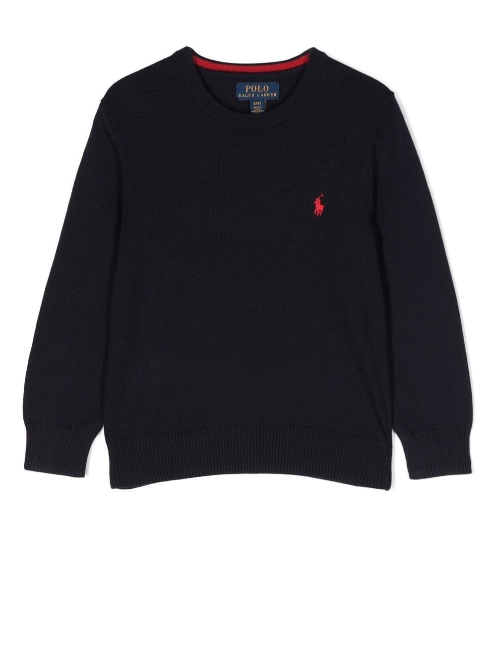 Polo Ralph Lauren Embroidered Logo Jumper In Blue