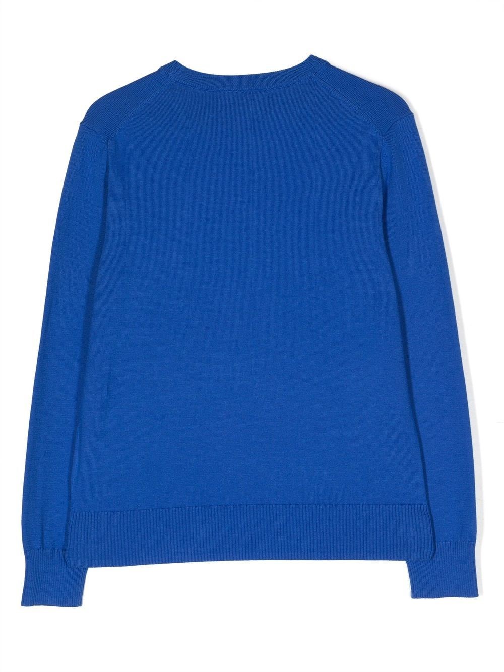 323799887 036 NEW IRIS