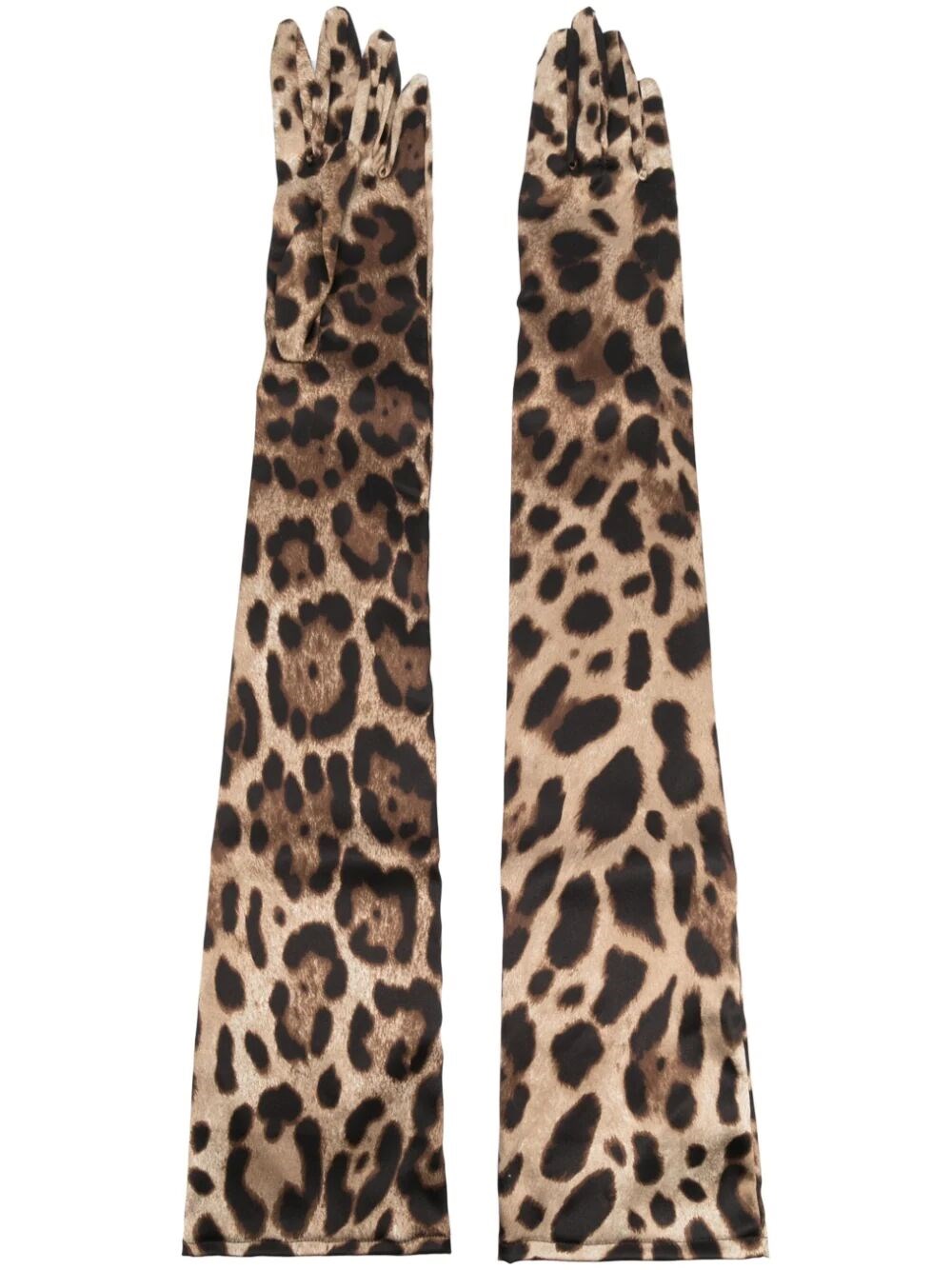 Shop Dolce & Gabbana Leopard-print Long Gloves In Multicolour