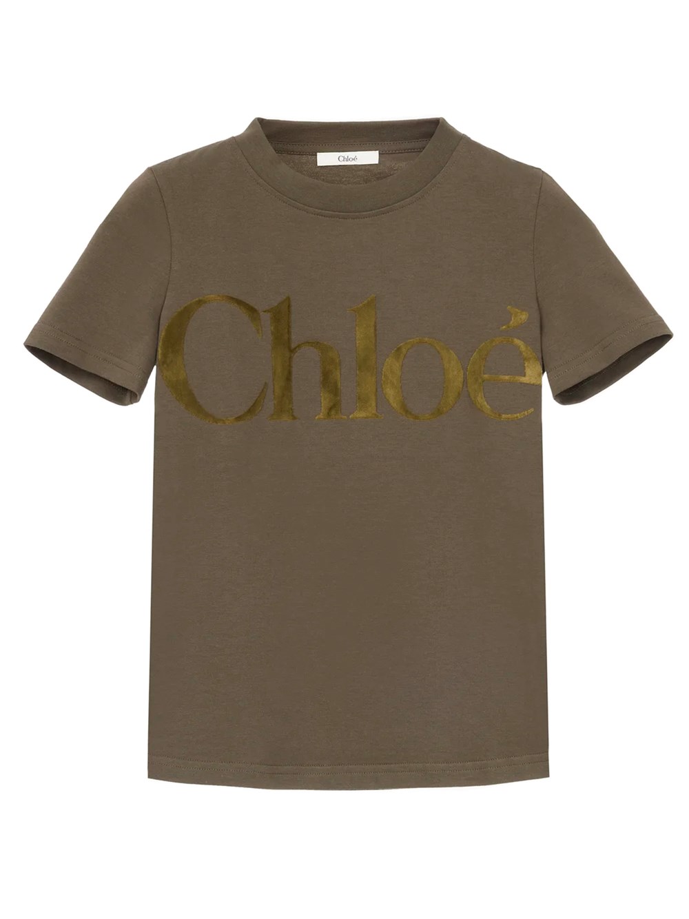 Shop Chloé Cotton Jersey Fitted T-shirt In Green